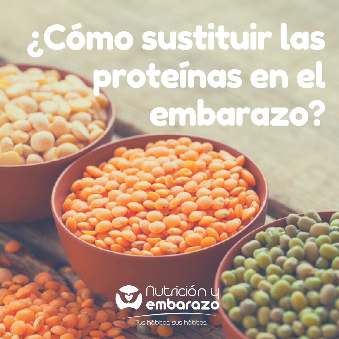 Nutricion y embarazo - Como sustituir las proteinas / carnes